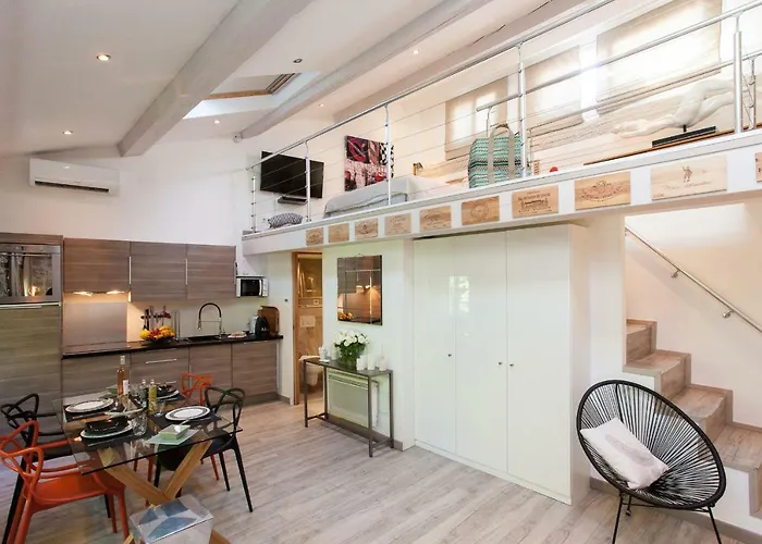 Superbe Loft Vieil Appartement *