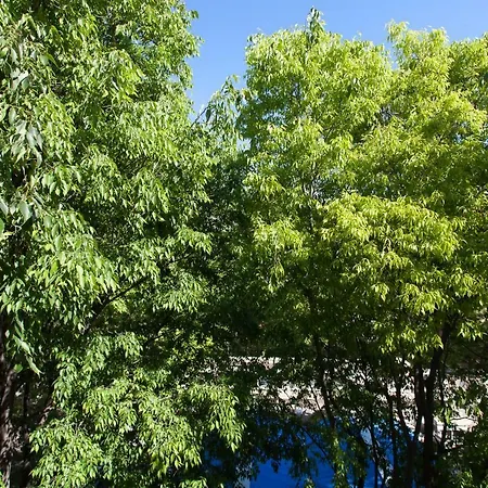 Superbe Loft Vieil Apartment Antibes